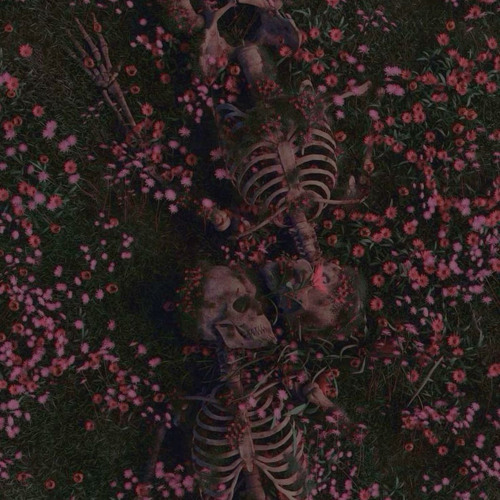 silence - maybe im just in her dreams?