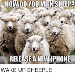 They'll Never Change