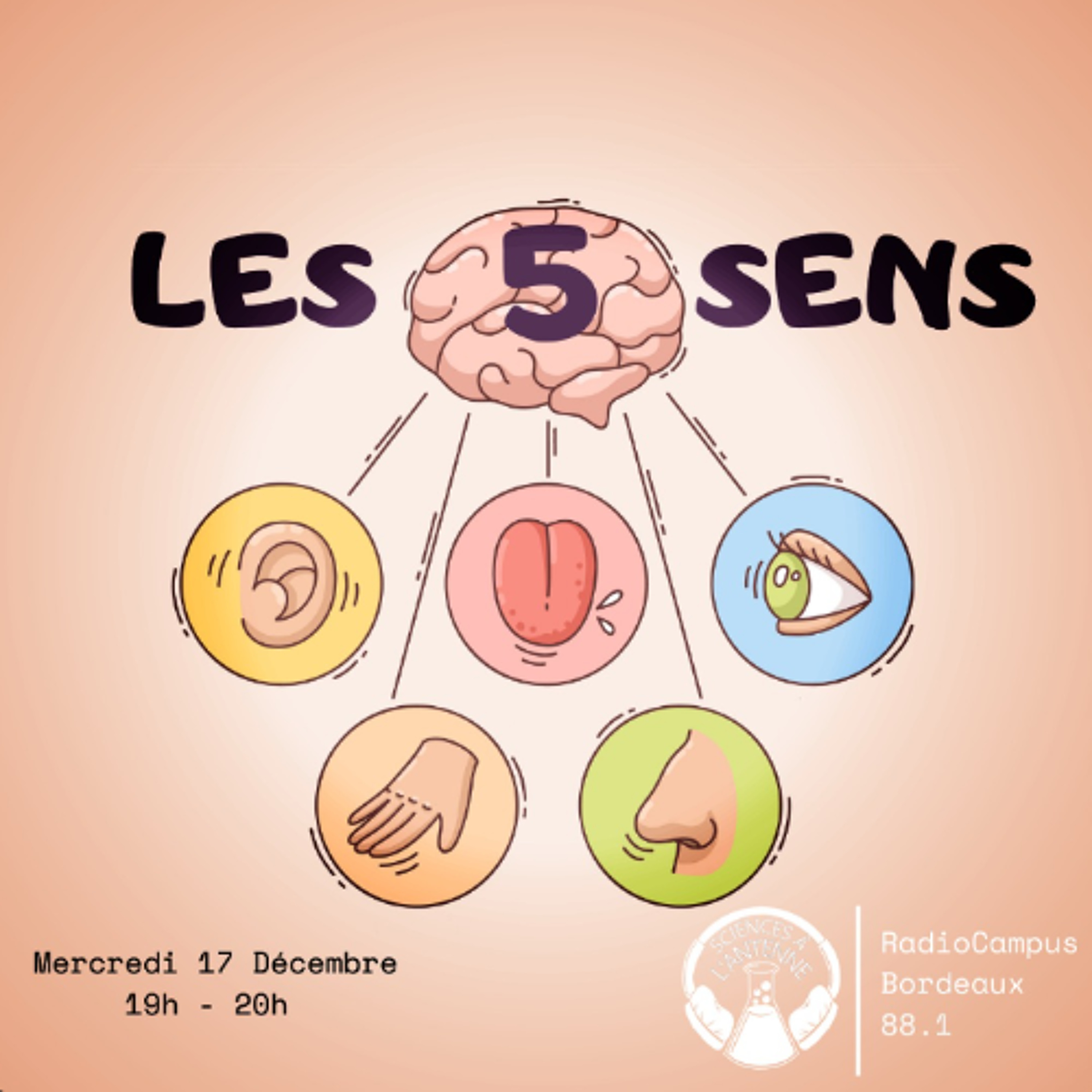 Sciences à l'Antenne - Les 5 sens - 17/12/2025 episode artwork