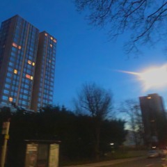 The View