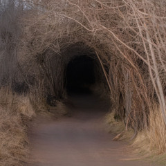 the unfolding castle ꕥॐ