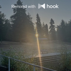 Mc Don Juan x DJ VN DA VILA - Amar Amei x CORO NAS DO JOB (@luckycharm Hook Mashup)