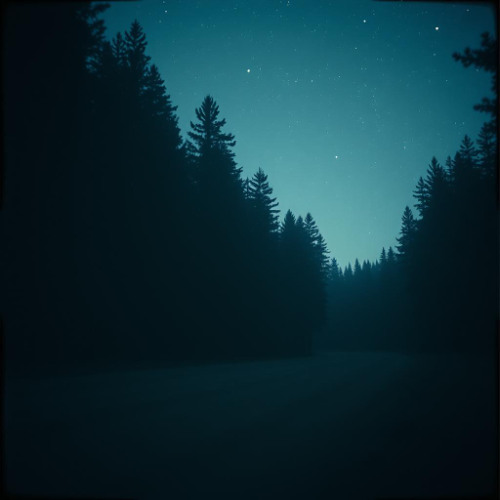 Storm and Dust written by Edwin H. Balder