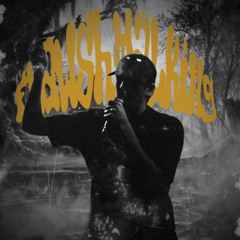 FLAWSHTALKIN 5 (prod. BYNEC)