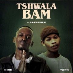 TSHWALA BAM X MNIKE REMIX BY DJHEMZ
