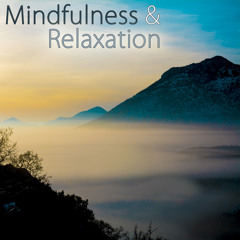 Waves of Calmness