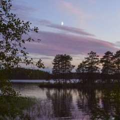 fuck it ima die (oaf1 cover)