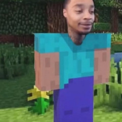 ♊️