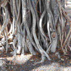 There's Something About Why