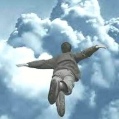 Fly away