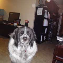 Piano Weapon X Push The Feeling On