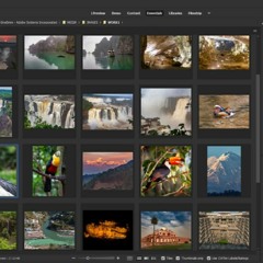Huong dan tai phan mem Adobe Bridge