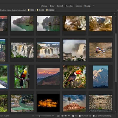 Huong dan tai phan mem Adobe Bridge