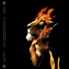 Ex Tenebris Lux