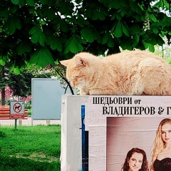 TayDelRey Цаца OлДей