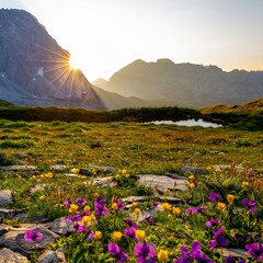 Afirmaciones Positivas Para Empezar El Día (con espacios para repetirlas).MP3