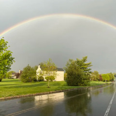 Plonkapple - Serenity (Nicky Lofi Edit)