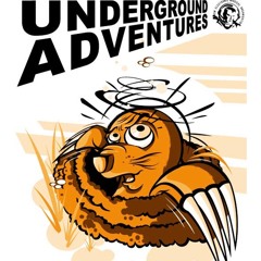 2005_Joost_de_Lyser_Live_at_Nemo_Open_Air