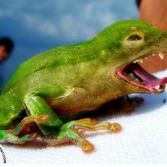 ah yes birth anniversary