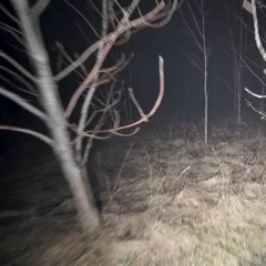 CovidWar Response to Wolf Camo / Send for Openend + SMBR + HUSKIE