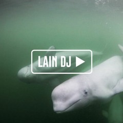 Beluga Melodic House & Techno