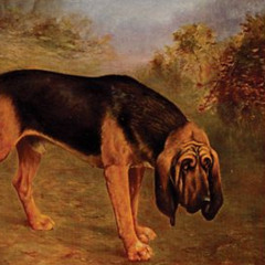 BloodHound