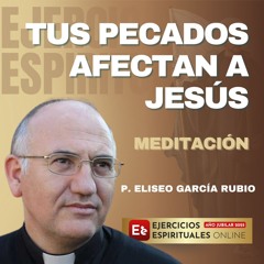 Cómo Tus Pecados Afectan a Jesús Hoy - P. Eliseo García Rubio - EE 2025