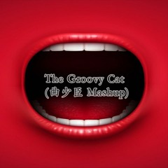 The Groovy Cat (曲少臣 Mashup)
