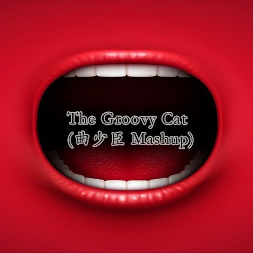 The Groovy Cat (曲少臣 Mashup)