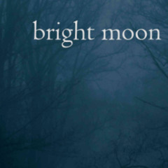 bright moon (naviarhaiku593)