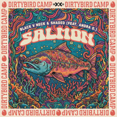 Black V Neck & Shaded (feat. Andra G.) - Salmon [Dirtybird]