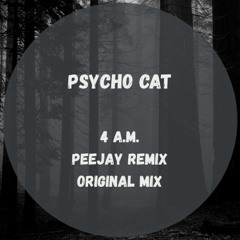 Psycho Cat - 4 AM (Peejay Remix) Snippet