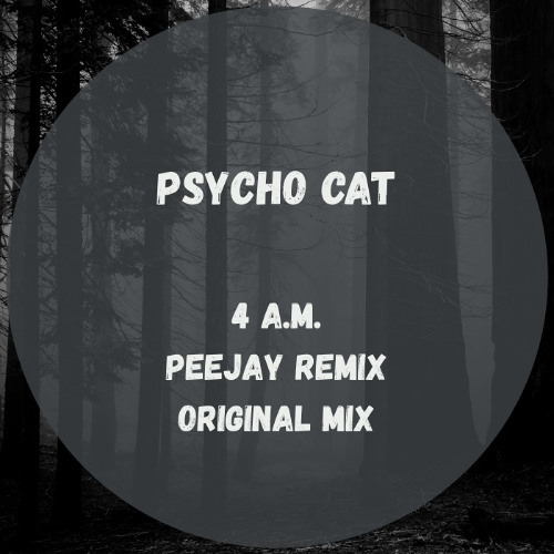 Psycho Cat - 4 A.M  (Original Mix) Snippet