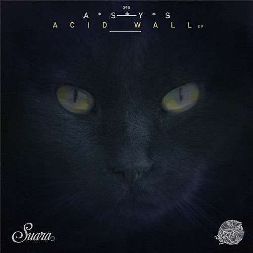 A*S*Y*S - Acid Wall