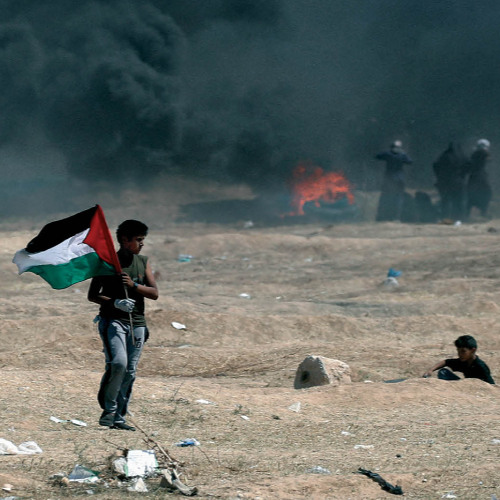 Presentación de "Palestina, la tierra estrecha" y "La infancia palestina y la supervivencia"