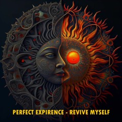 Perfect Experience - Revive Myself