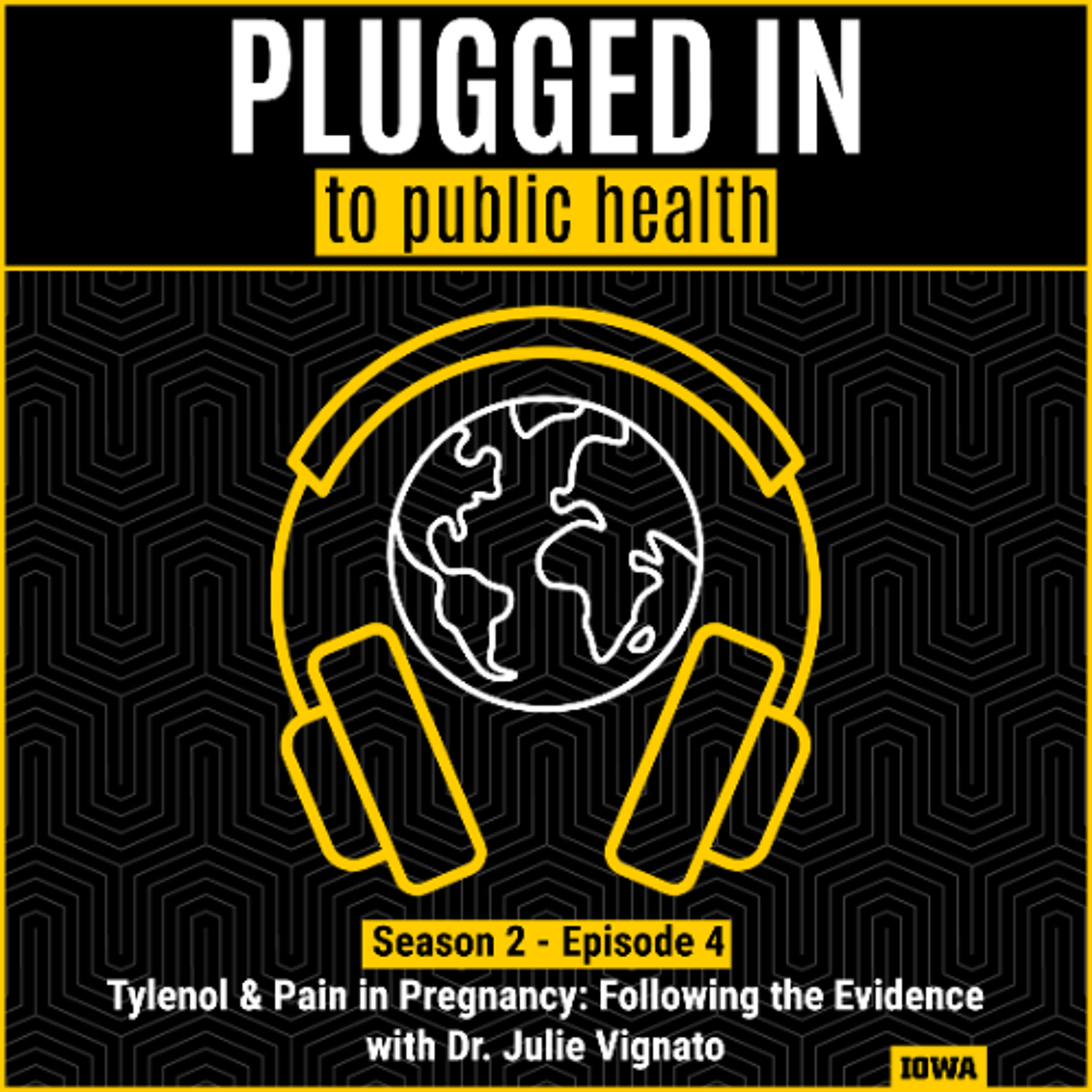 University of Iowa College of Public Health