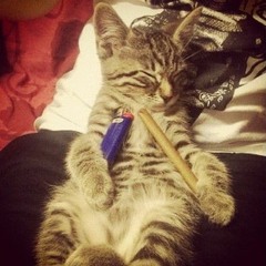 Một lần nữa - DSK (slowed)