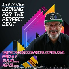 DJ Irvin Cee - Looking for the Perfect Beat 202238