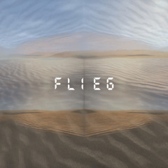 Flieg - prod. by maadmaaz