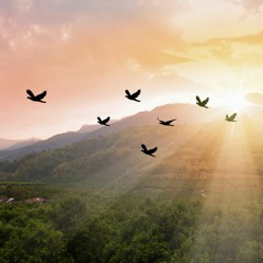 O Gott Dir Sei Ehre Der Großes Getan