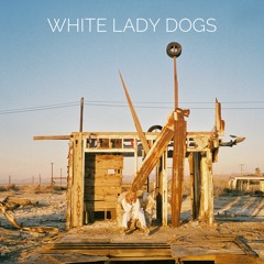 White Lady Dogs