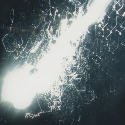 Ghost sYMbOL