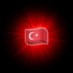 fica de 4 pro alto do tik tok