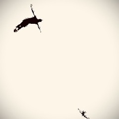 same result [psychedelicV]