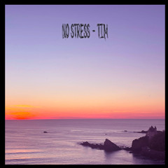 No Stress - TIM X MAS LIQUID