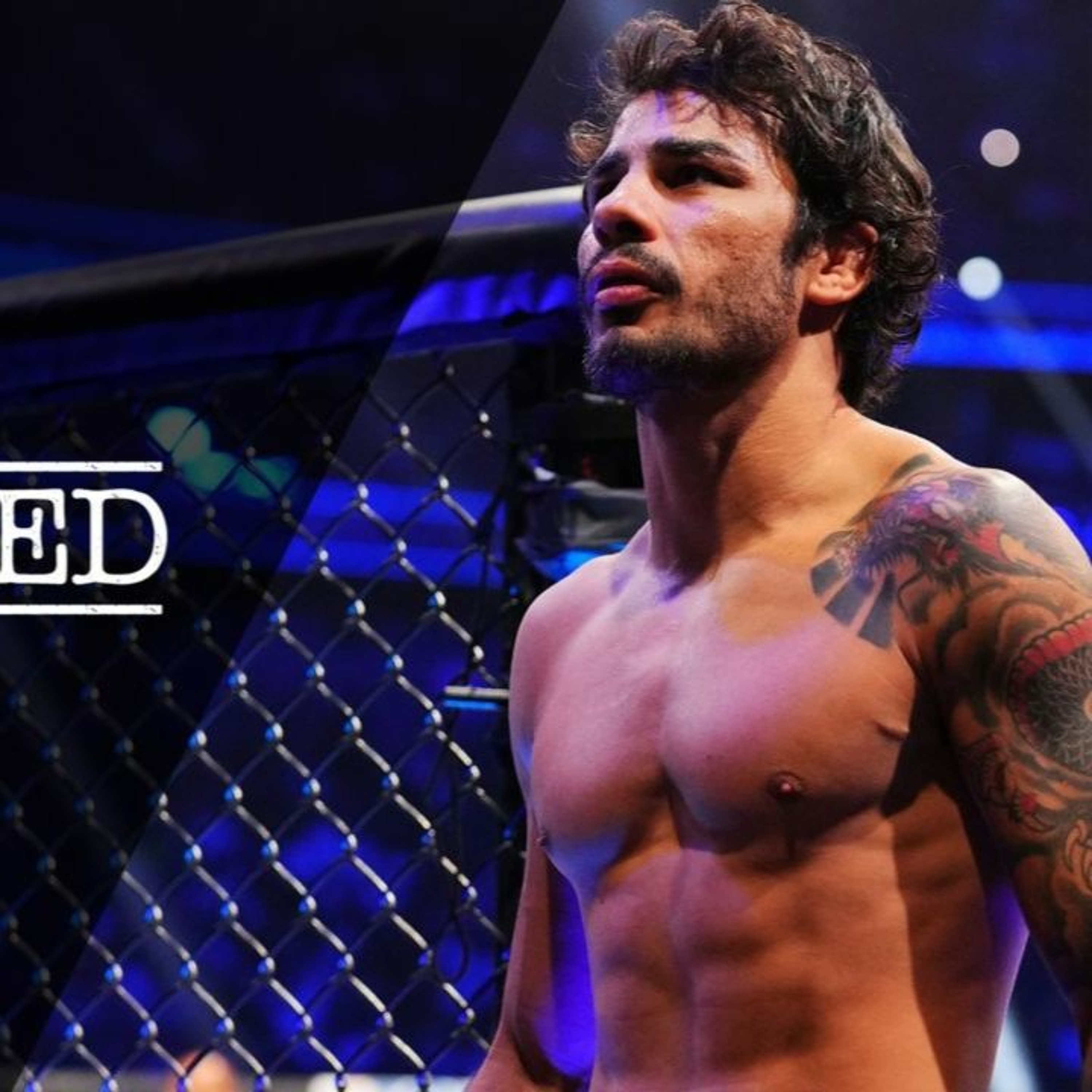 Episode 4 UFC 296 Embedded (AMP'd) | #UFC #UFC296 episode artwork
