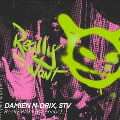 Damien N-Drix & STV - Really Want (Wannabe)(Original Mix)