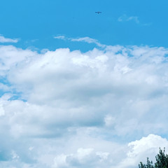 In The Sky