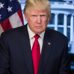 Morne Patterson - Navigating the Storm: Market Uncertainty in 2025 Driven by Tariffs, Economic Weakness, and Trump’s Unpredictable Leadership